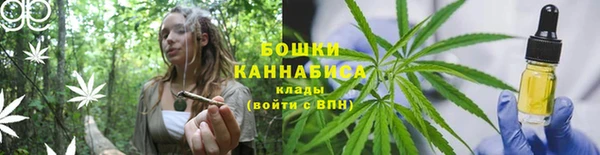 прущие крисы Балахна